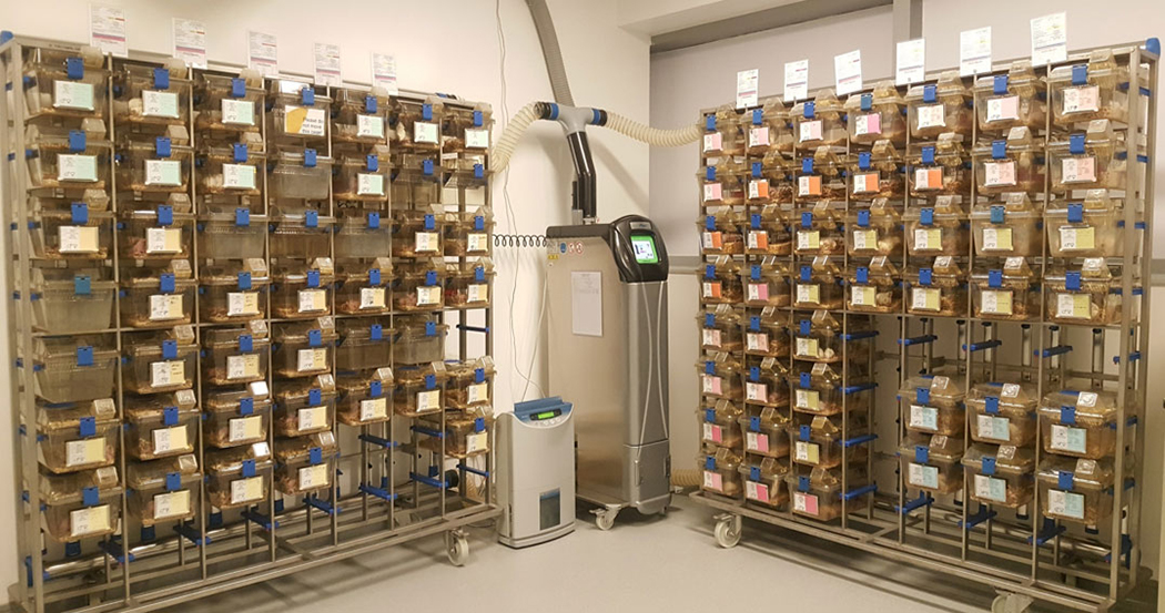 醫學實驗室  動物房案例  精鋒醫療